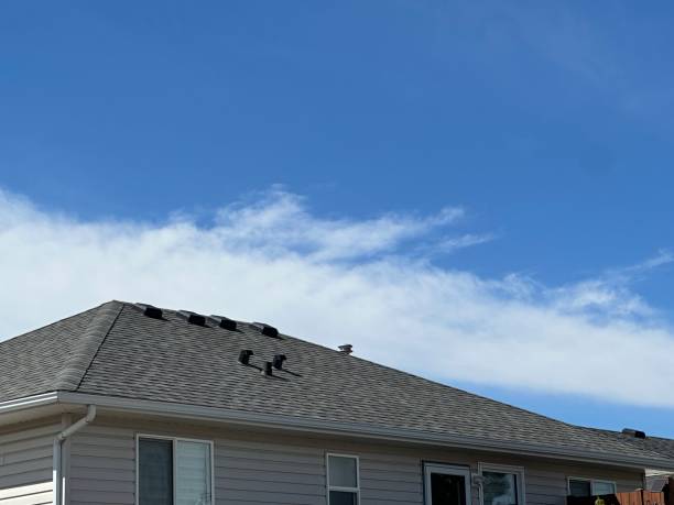 Best Roof Leak Repair  in Zumbrota, MN